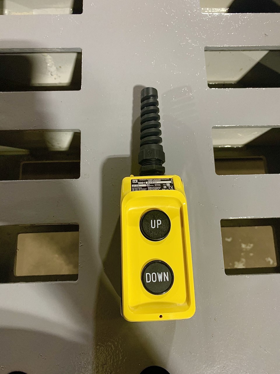 Controller or Pendant Switch